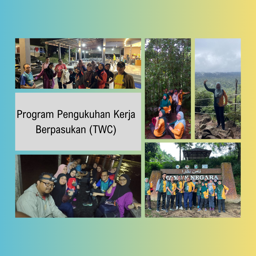 Program Pengukuhan Kerja Berpasukan (TWC)