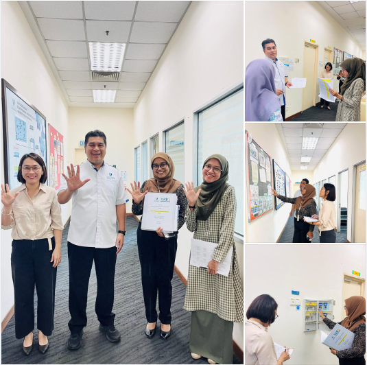 audit_kendiri3.png